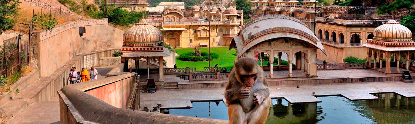 B2B DMC Rajasthan