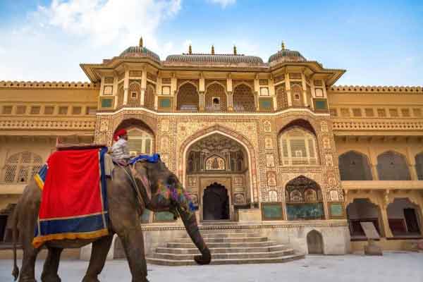 Pink City Photography Tour